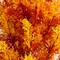 4ft. UV Resistant Autumn Artificial Fall Cedar Tree (Indoor/Outdoor)